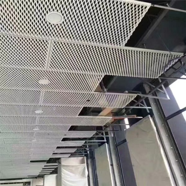 horch Ceiling mesh - Image 2